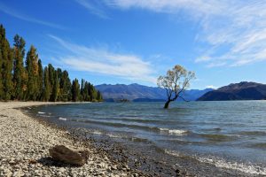 Lake Wānaka: Discover New Zealand’s Stunning Alpine Lake