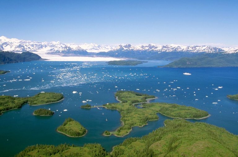 Prince William Sound: Discover Alaska’s Stunning Fjords, Glaciers, and Wildlife