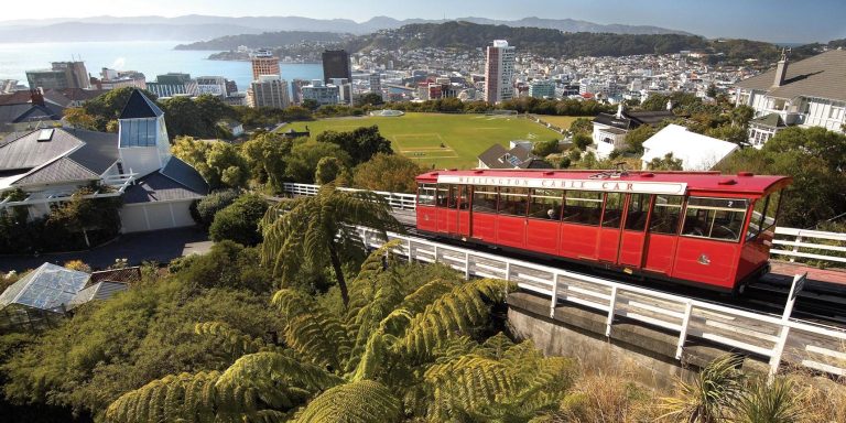 Ride Above the City: Why Wellington Cable Car Is More Than Just a Scenic Journey