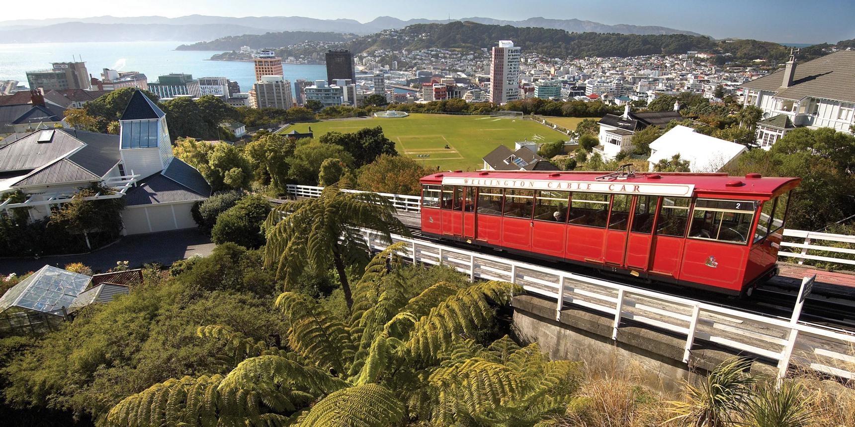 Ride Above the City: Why Wellington Cable Car Is More Than Just a Scenic Journey