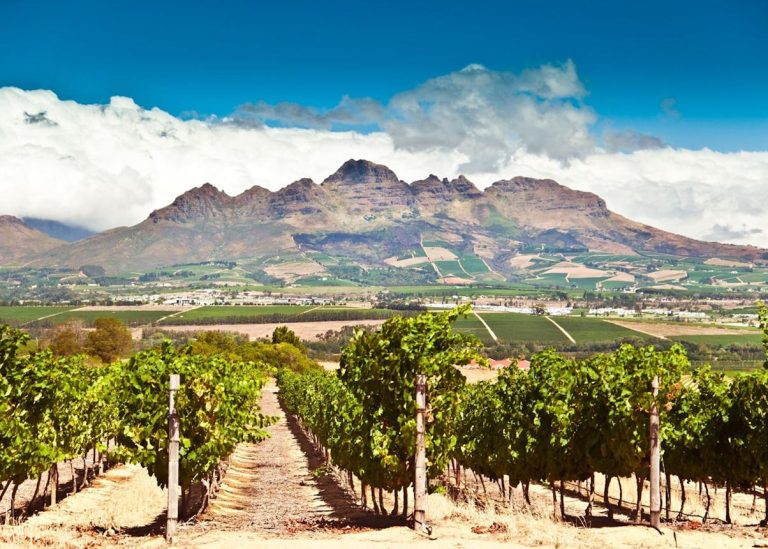 Stellenbosch Wine Route: Discover South Africa’s Premier Wine Destination