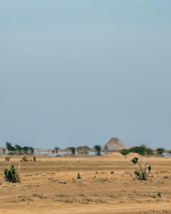 Terra Boa Mirage: Witness Cabo Verde’s Incredible Desert Optical Illusion