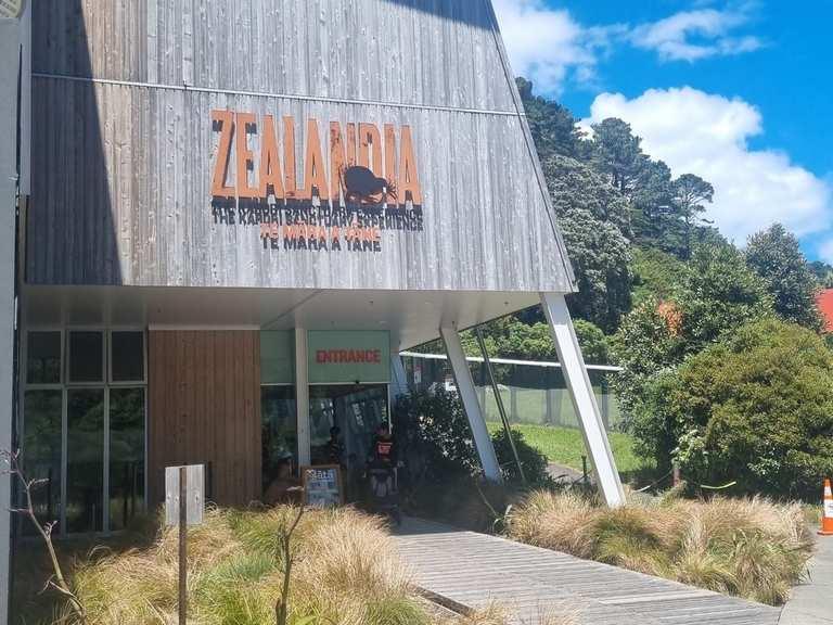 ZEALANDIA Ecosanctuary: Experience New Zealand’s Award-Winning Wildlife Sanctuary