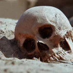 3,500-year-old skeletons challenge what scientists thought they knew about syphilis