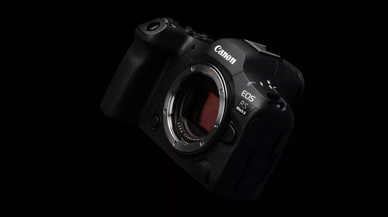 Are Digital Cameras Still Worth Buying in 2026?
