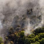 British PM Imposes BBQ Ban, Deploys Military in Battle Against Widespread Wildfires