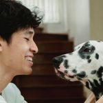 Can Dogs Become Bilingual? Unlocking the Genius of Our Canine Companions
