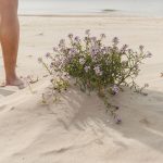 Can Getting Naked With Strangers Improve Body Image?