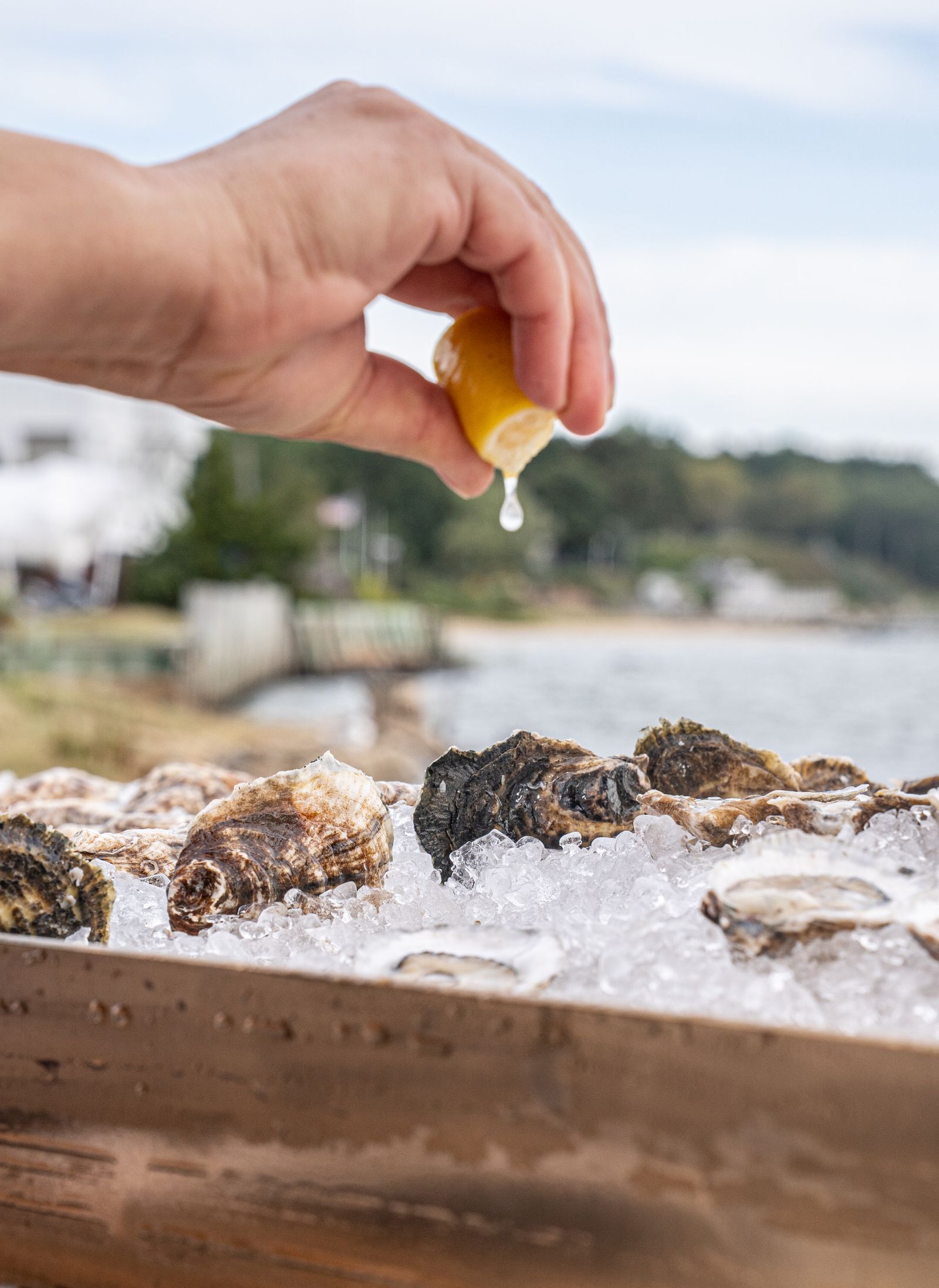 Chef Tom Colicchio's Guide to the North Fork, New York's Hidden Seafood Haven
