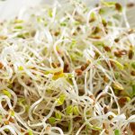 Dozens of People Sickened by Tainted Alfalfa Sprouts Across 15 States