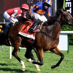 Fillies Dominate in Thrilling Horse Racing Weekend