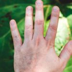 God, Death, Beauty, and Other Ultimate Concerns in Therapy