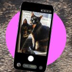 How to Take Better Photos of Your Pets