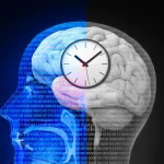 Intermittent Fasting Triggers Surprising Changes in the Brain
