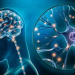 Ozempic’s Unexpected Brain Mechanism: How It Helps You Lose Weight