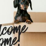 The Unexpected Benefits of Living with Your Parents as a Young Adult