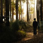 Why Meaningful Coincidences Cluster During Life Changes