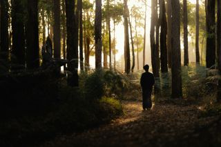 Why Meaningful Coincidences Cluster During Life Changes